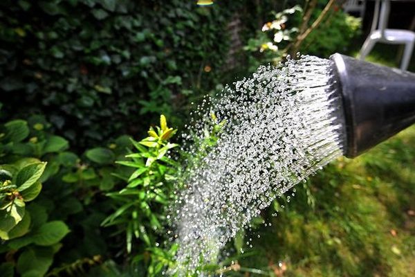 Les mesures de restrictions prises dans les Alpes-de-Haute-Provence concernent l'arrosage du jardin, le lavage des voitures et le remplissage des piscines... (photo d'illustration.)