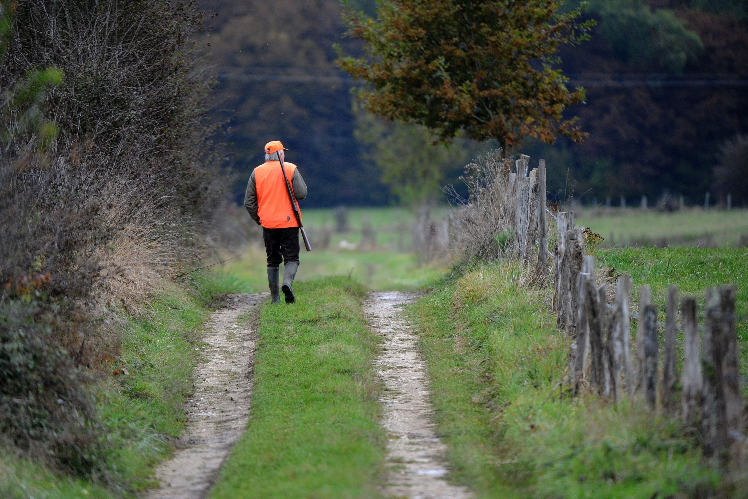 Jura une d rogation sera accord e aux chasseurs pendant le