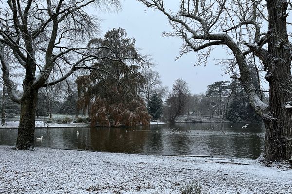 Les premiers flocons de l'hiver, sur le parc bordelais mercredi matin 10 janvier 2024