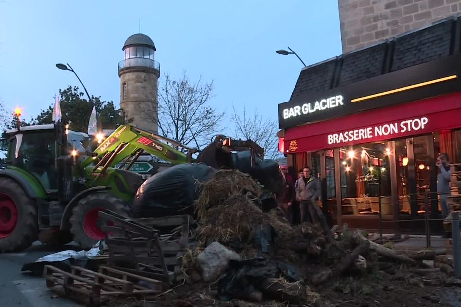 A tense exchange with a restaurateur during an inspection to find out the origin of the meat