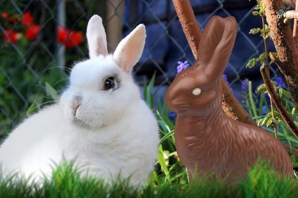 La fête de Pâques est synonyme de chocolat 