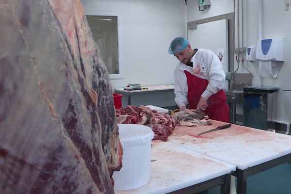 "Si je pouvais faire abattre mes animaux ici, ce serait un grand confort et moins de stress pour les bêtes" confie un éleveur membre de l'association Paysans du limousin et consommateurs.