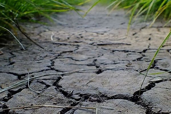 L'épisode de canicule a fragilisé la ressource en eau du département de l'Yonne