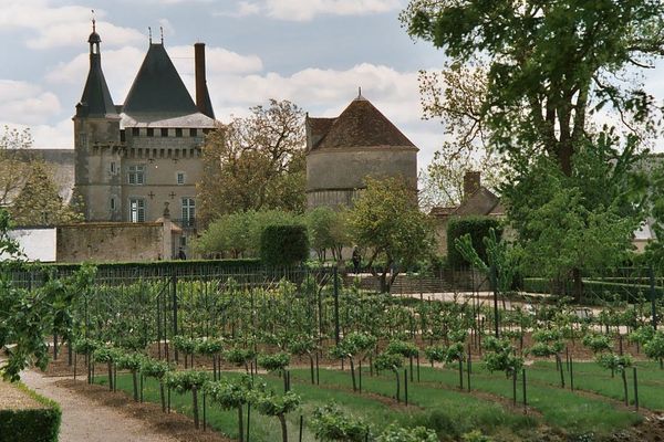 Le Château de Talcy (Loir-et-Cher)