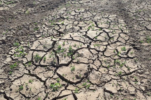 Deux communes du Puy-de-Dôme ont été reconnues en état de catastrophe naturelle. Les administrés de Chadeleuf et Saint-Georges-sur-Allier ont dix jours à compter du 14 janvier déclarer leurs dommages auprès de leurs assurances.