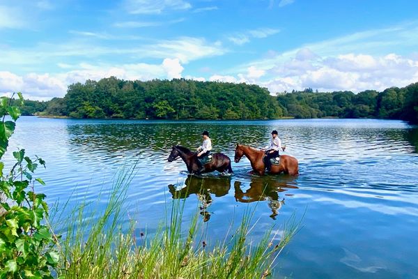 En Limousin, la chasse à courre existe. Près du lac de St Pardoux, l'équipage des Beaux Couverts traque le renard.