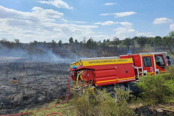 L'incendie a pu être circonscrit par les sapeurs-pompiers sur une surface de quatre hectares. 