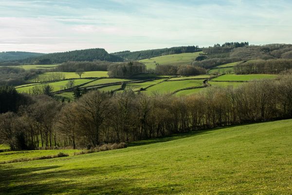 Paysage du Morvan