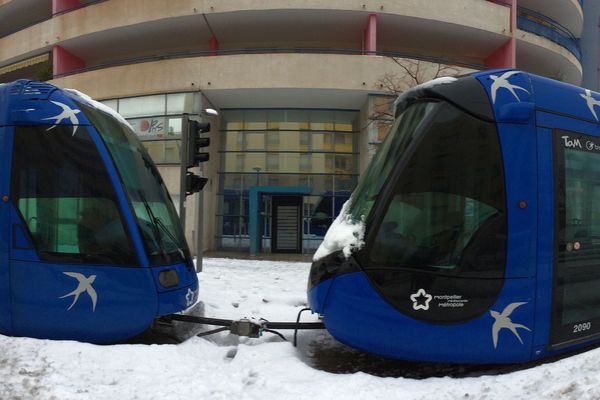 En février 2018, les tramways ont circulé  dans Montpellier jusqu'au blocage total, à l'exemple de ces deux rames stoppées boulevard de Strasbourg