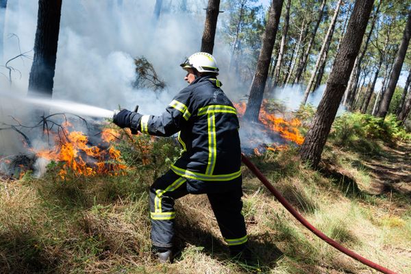 Plusieurs centaines d’hectares sont partis en fumée en Auvergne Rhône Alpes cet été. Et il est possible qu’au vu du dérèglement climatique et des vagues de canicules qui devraient se multiplier, les prochaines années soient du même acabit.