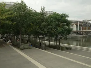 Des arbres plantés dans le quartier Confluence à Lyon