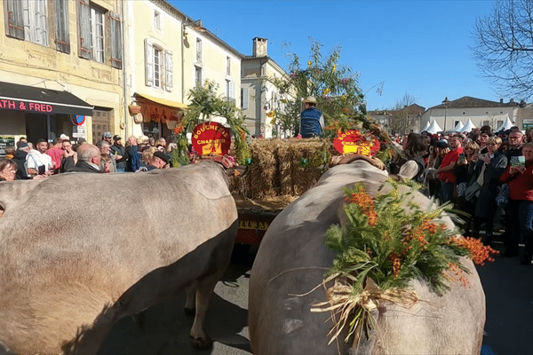 Fête des bœufs gras à Bazas 2023