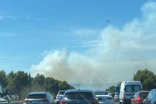 Un incendie s'est déclaré ce dimanche le long de l'autoroute A7.