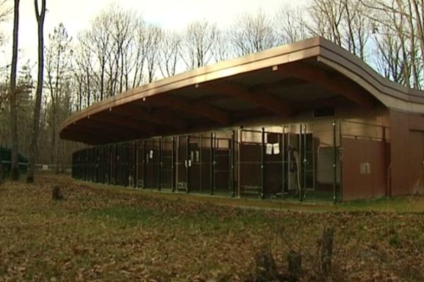 A Brugheas, dans l'Allier, le refuge de la SPA a fait peau neuve en 2010 mais il ne pourra pas faire face éternellement à des abandons en constante hausse en France.