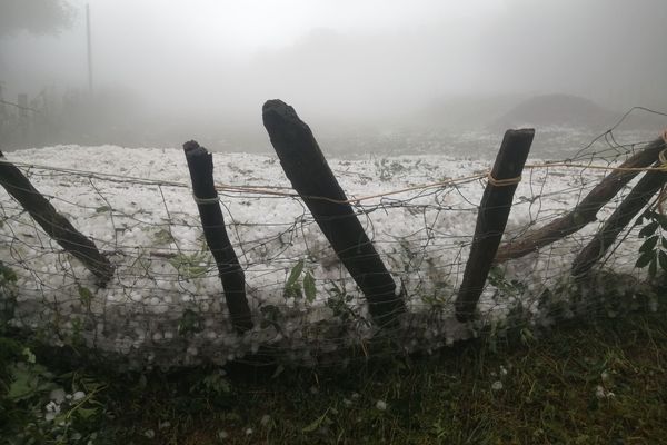 Un violent orage accompagné de grêle s'est abattu sur Espelette, il a détruit les champs de piment dans un quartier de la commune.