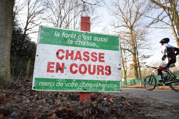 Empêcher une chasse sera bientôt un délit passible de 30.000 euros d'amende. 