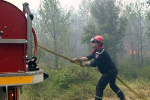 Saint-Bauzille-de-Montmel (Hérault) - les pompiers au sol luttent contre l'avancée du feu - 8 août 2015.