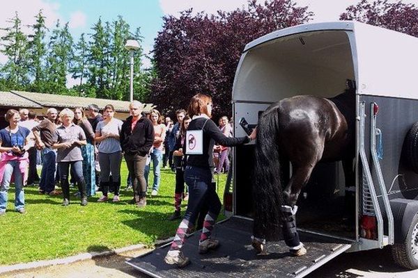 Des propriétaires retirent leurs chevaux au centre équestre d'Ambazac