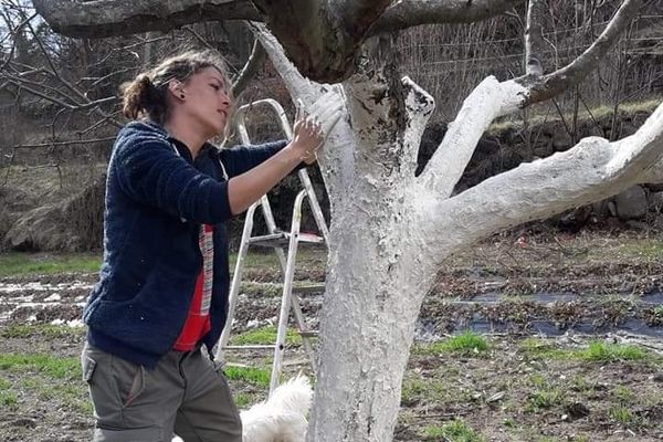 Héloïse Damex travaille pour plusieurs agriculteurs avec le service de remplacement.