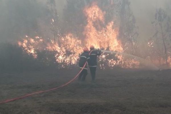 Les pompiers de l'Aube ont apporté du renfort dans la lutte contre les incendies en Gironde de la mi-juillet 2022.