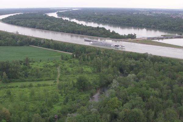 Le Rhin, son canal, ses méandres et ses réserves naturelles