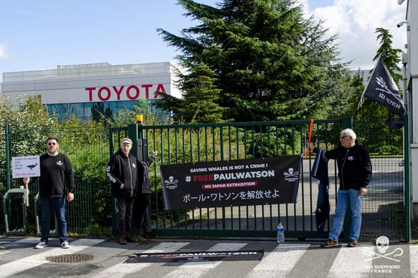 Le navigateurs Jo Le Guen et Eugène Riguidel se sont menottés devant l'entreprise nippone Toyota à Valenciennes.