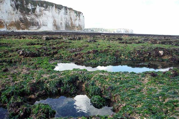 Rochers (à marée basse) à l'ouest de la plage de Veulettes-sur-Mer (Seine-Maritime)