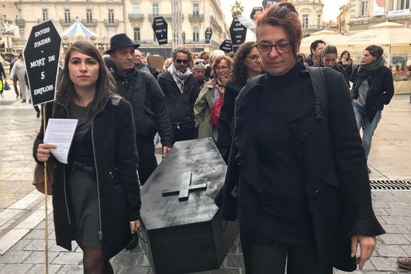 Les manifestants ont défilé de la place de la comédie jusqu'à la préfecture de l'Hérault à Montpellier ce 10 novembre 2017.