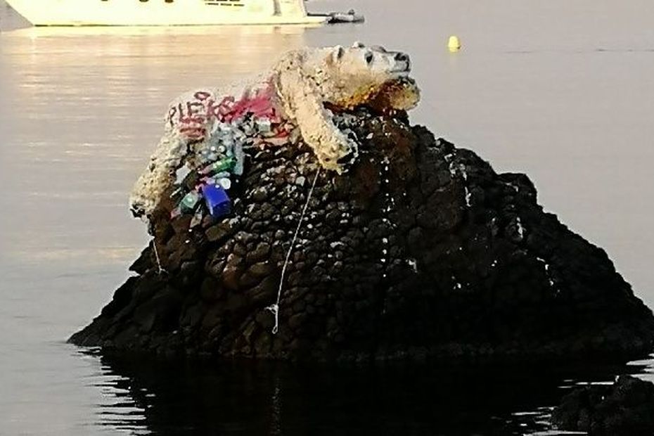 Que Cache Lours Polaire Sur Une Plage Un ours polaire perdu à Antibes, ou comment un artiste azuréen veut