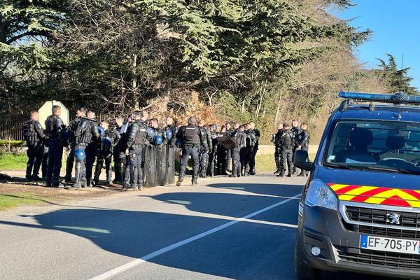 Plusieurs dizaines de gendarmes encerclent le terrain occupé illégalement par des opposants à l'A69. L'évacuation se fait dans le calme.