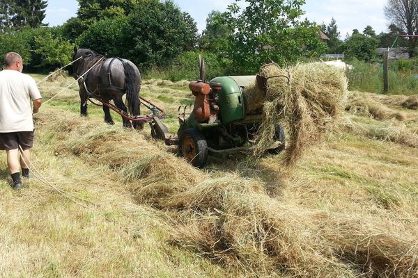 L'association « aux coul’Eure du cheval » réaliseront les travaux agricoles à l’ancienne.