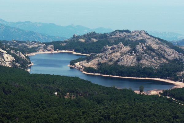 La forêt de pins et le lac de L'Ospedale