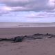 L'épave d'un "small boat" abandonné sur la plage de Calais.