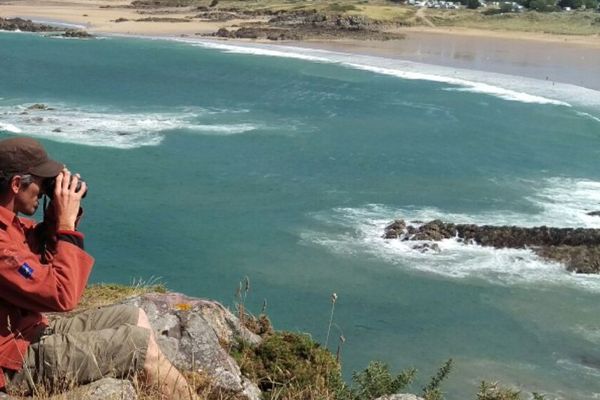 Un bénévole de l'agence des aires marines protégées recense les pêcheurs à pied de Erquy (22). Une opération menée sur le littoral breton et normand de la Manche