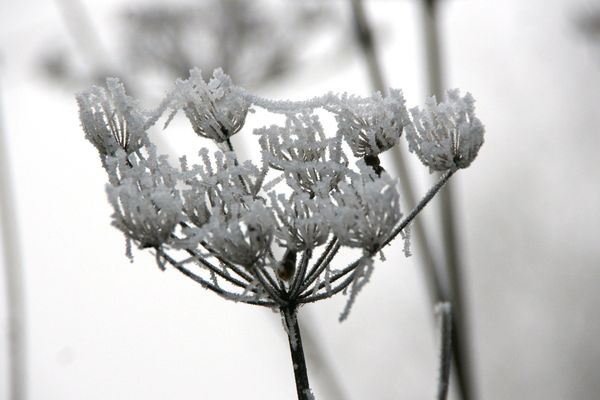 Météo France annonce quelques flocons ce mardi matin.