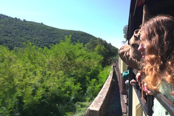 Le temps d'une journée, le train des Cévennes plonge ses passagers dans le monde des sorciers. Tain à vapeur, spectacle de magie, déguisements ou encore match de quidditch.