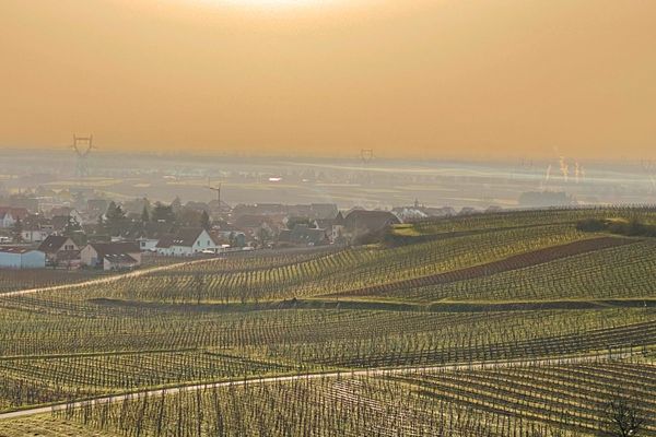 Un record de chaleur a été enregistré dans le Haut-Rhin, mercredi 24 février.