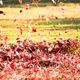 Le vent viendra souffler principalement de l’ouest, accentuant légèrement la sensation de fraîcheur en  cette journée d'automne.