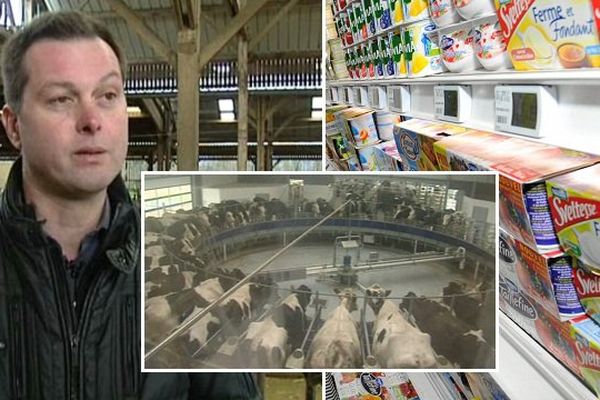 A propos de la "ferme des 1000 vaches", Olivier Thibaut, président des producteurs laitiers de la Somme, dénonce l'hypocrisie des distributeurs.