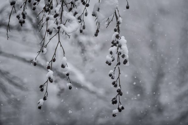 Retour de la frâicheur avec un temps agité et de la neige en montagne prévient Météo France la semaine du 18 novembre.