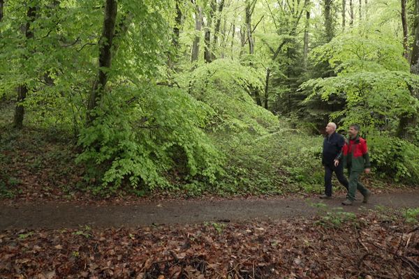 En Haute-Savoie, ce sentier forestier situé près de Thonon-les-Bains, sera inaccessible jusqu'au mois de juin.