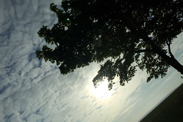 Dans la campagne francilienne, le soleil hésite à se dévoiler derrière une fine couche de nuages. 