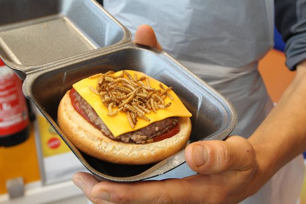 Le creepy burger dans un fast food d'Angoulême.