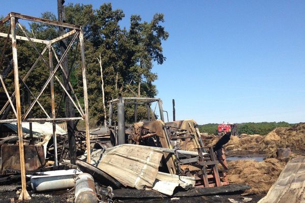 Incendie d'une exploitation à Mesland dans le Loir-et-Cher. Environ 150 agneaux et brebis sont morts.