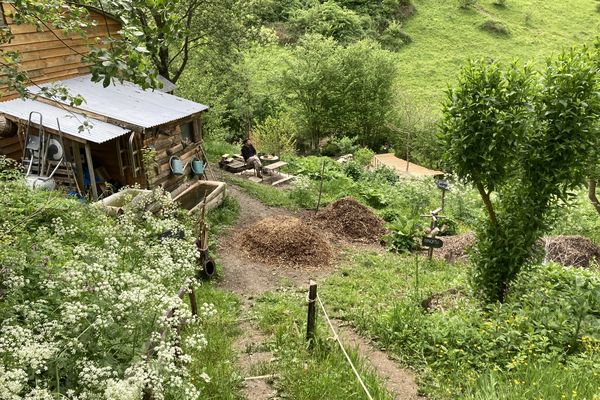 Un jardin synergétique, le Clos des Arômes à Augirein en Ariège