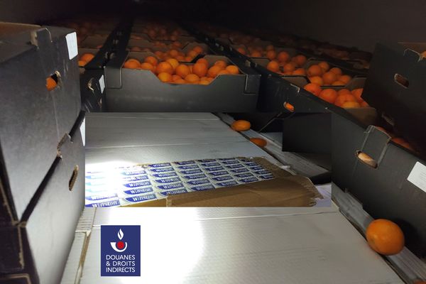 360 000 paquets de cigarettes étaient dissimulés sous des oranges