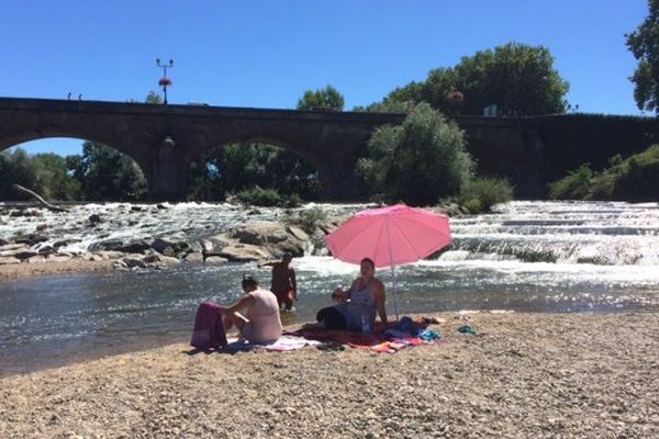 Les bords de l'Allier un havre de fraîcheur