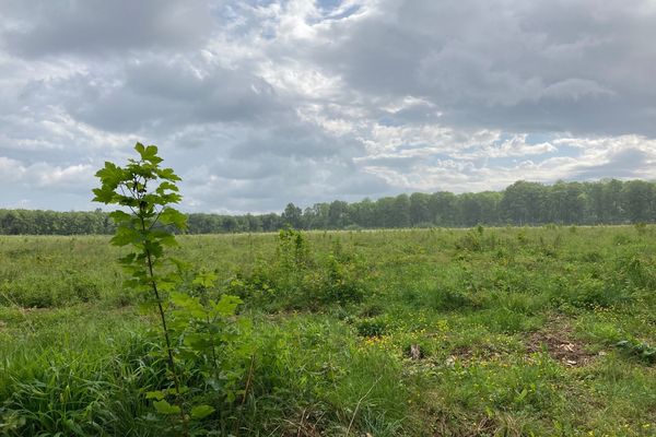 La parcelle de 18 hectares a été financée par l'entreprise luxembourgeoise Eaglestone.