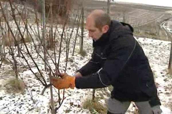 chaque pas se joue un tête à tête entre l'homme et la plante