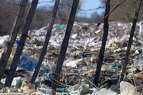 Camargue - La Crau polluée par des tonnes de plastiques - avril 2014.